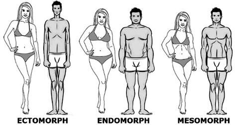 Quel est votre morphotype ? Nos conseils d’entraînement et nos recommandations nutritionnelles